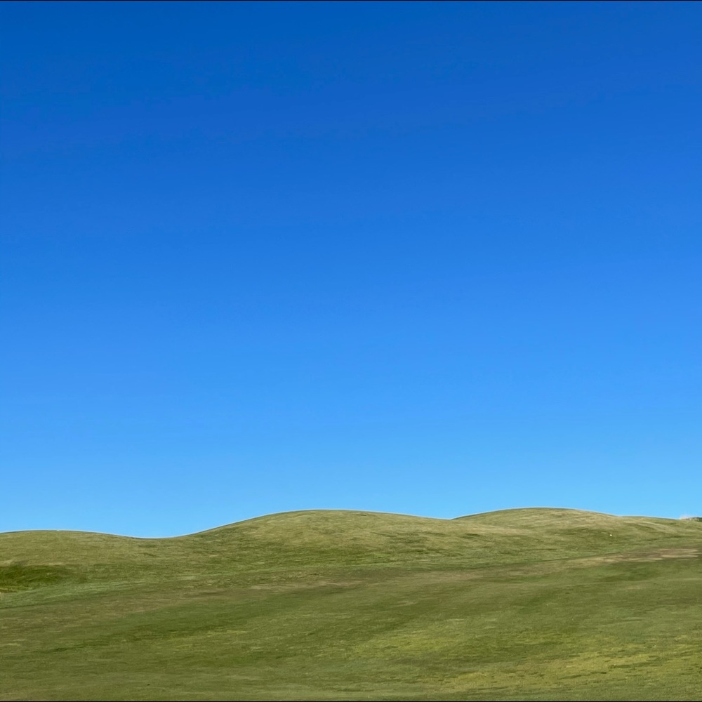 Meet your Posher, Ava